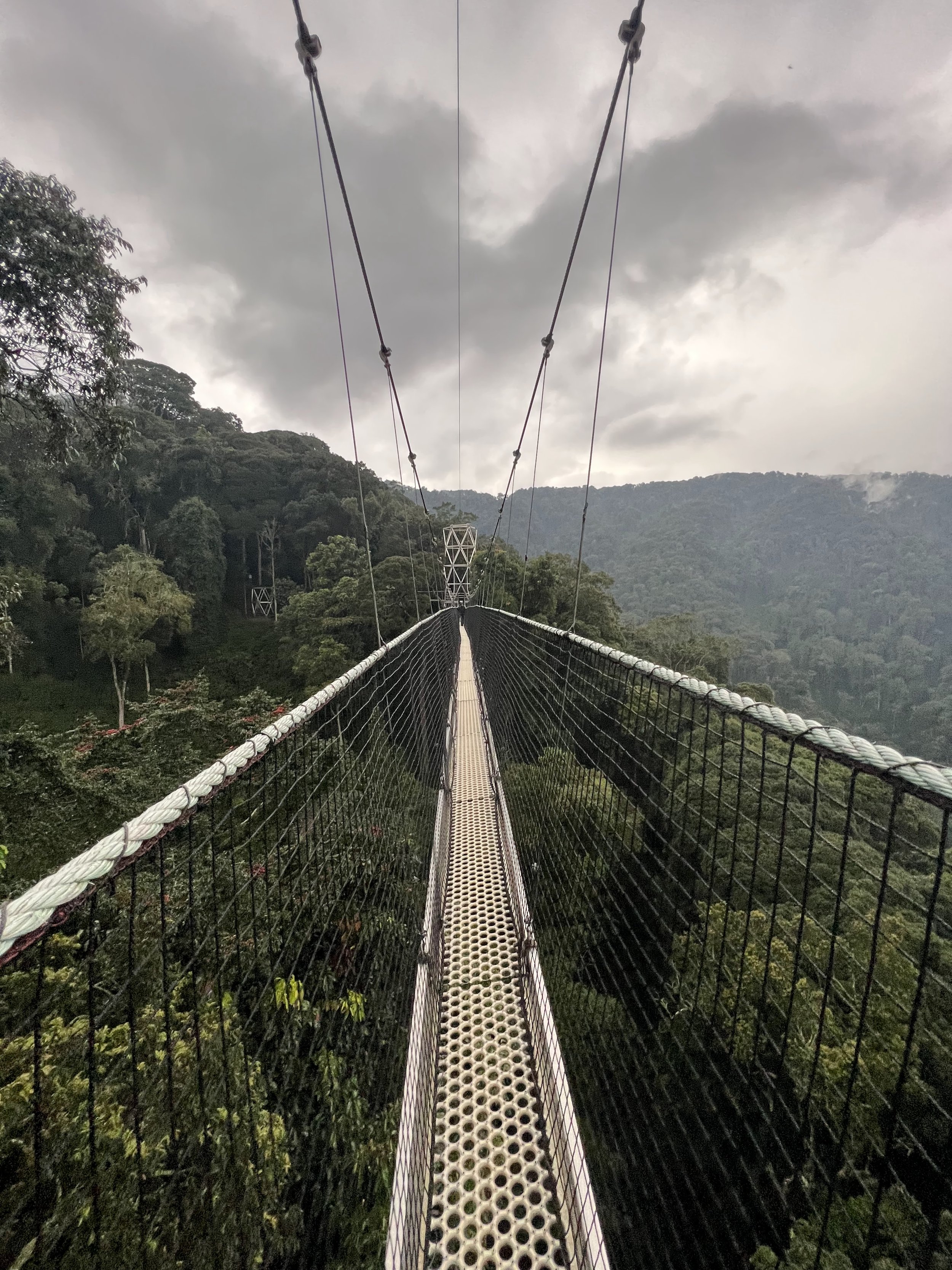 Canopy Walkway in Nyungwe National Park