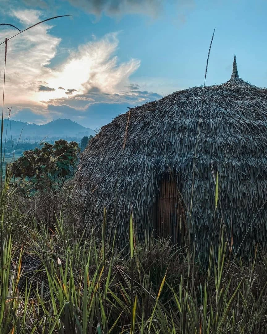 Gorilla trekking in Rwanda takes visitors into the forested slopes of Volcanoes National Park for one carefully regulated wildlife encounter.