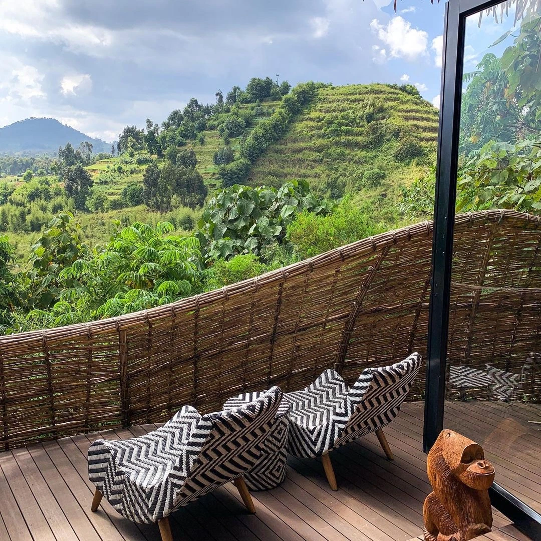 Gorilla trekking in Rwanda takes visitors into the forested slopes of Volcanoes National Park for one carefully regulated wildlife encounter.