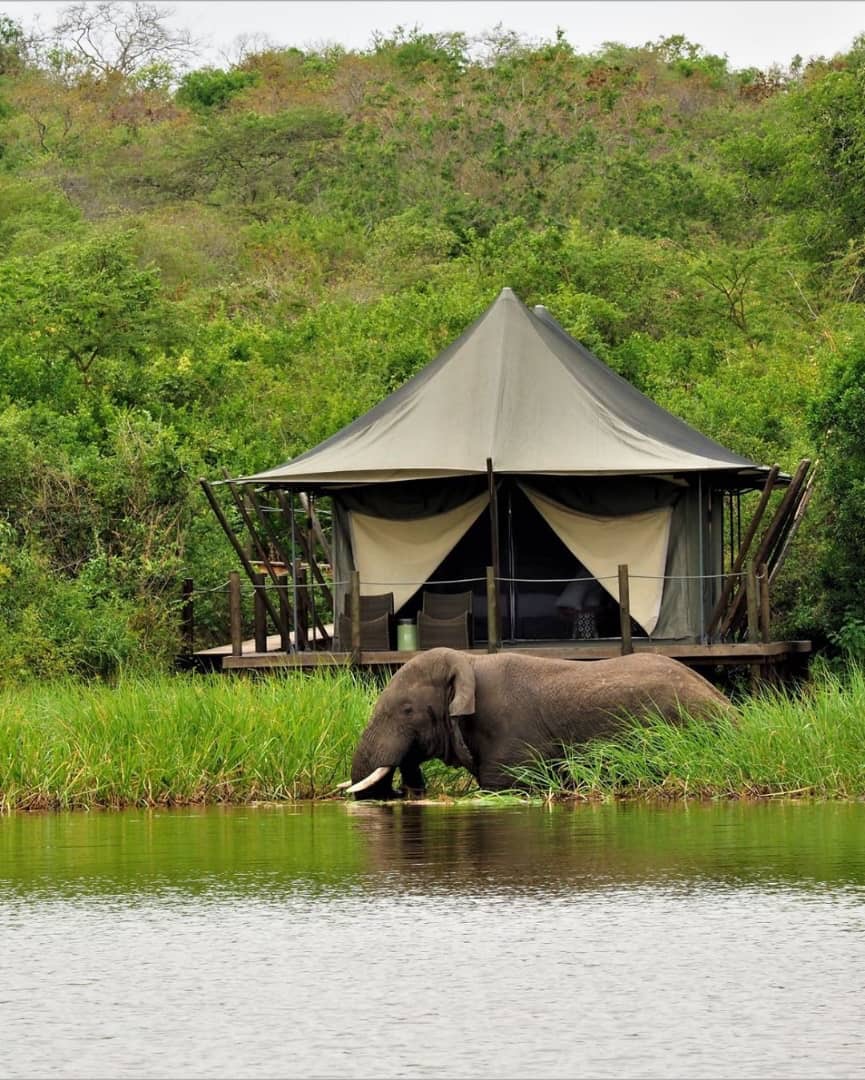 Wildlife in Akagera National Park Rwanda
