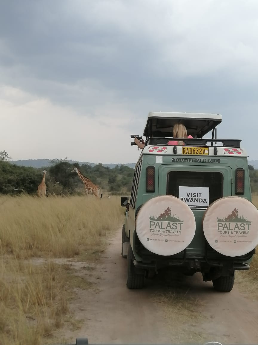 Akagera National Park safari tour in Rwanda