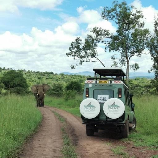 Tour Vehicles|Palast Tours & Travel